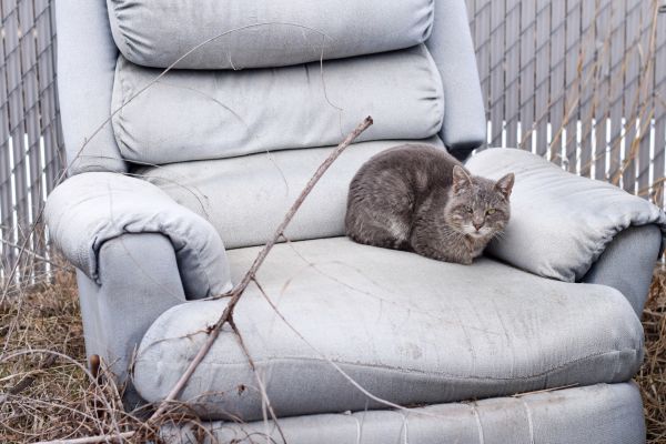 Recliner Disposal in Arlington
